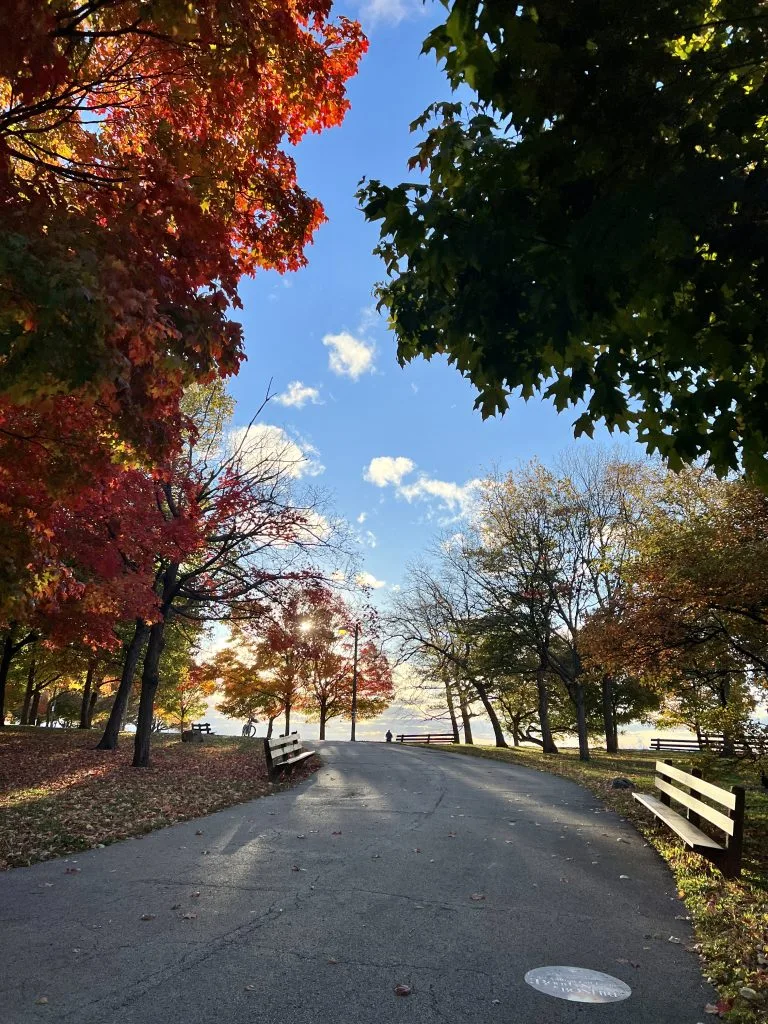 pp fall